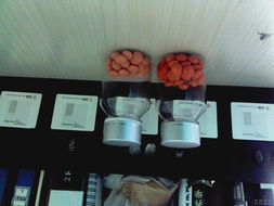 片剂与硬胶囊剂的褪色现象解析与应对策略